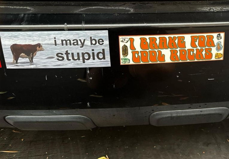 jeep - i may be stupid I Brake For Gool Rocks